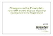 FEMA & BiOp Floodplains Propeller Club 10-24-11