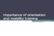 Importance of orientation and mobility training