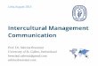 Intercultural management communication