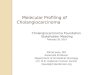 Molecular Profiling of Cholangiocarcinoma - Milind Javle, MD