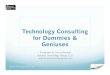 Technology consulting for dummies and geniuses derrisboomer