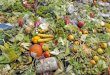 Food Waste: take the challenge