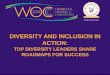 Diversity and Inclusion in Action: Top Diversity Leaders Share Roadmaps for Success (WOC 2014)