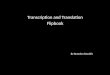 Transcription and translation project