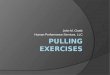 Pulling Exercises: Analyzing the Deadlift