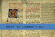 Lecture 1 Part 2 : What is the Common Law?