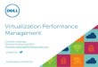 Virtualization performance management
