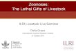 Zoonoses: The lethal gifts of livestock