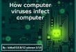 How computer viruses infect computer(explain)