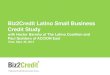 Biz2Credit Latino Small Business Credit Study