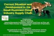Current Situation and Development in the Small Ruminant (Goat) Industry Supply Chain