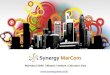 Profile - Synergy MarCom V2.1
