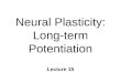 ~BN15 Neural plasticity - LTP.ppt