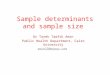 Sample determinants and size