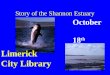 The Story of the Shannon Estuary