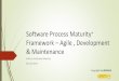 Software process maturity+ framework