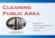 Cleaning of public areas