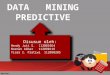 Data Mining Predictive