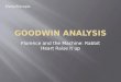 Goodwin analysis: Florence and the machine