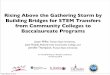 Rising Above the Gathering Storm by Building Bridges for STEM Transfers from Community Colleges to Baccalaureate Programs