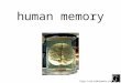 The Human: Memory