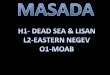 Masada region