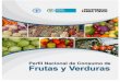 Perfil de Consumo de Frutas y Verduras Final Marzo Corregido