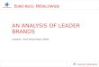 Leader brands analysis