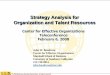 Strategy Analysis for Organization and Talent Resources