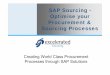 Excelerated Sourcing, SAP Sourcing Overview