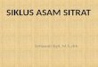 SIKLUS ASAM SITRAT-14