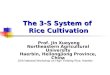 0404 The 3-S System of Rice Cultivation