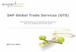2014.06.05   expert session sap gts @ expertum - the challenges of a globalized economy - are you making the most of it