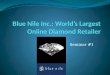 Blue nile online diamond retailer