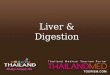 Thailand Medical Tourism_Liver & digestion