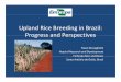 003   upland rice breeding in brazil, flavio breseghello