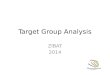 Target group analysis