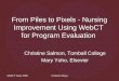 From Piles to Pixels: Nursing Improvement using WebCT for Program Evaluation