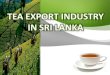 Tea Export Industry in Sri Lanka