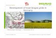 Local Biogas Grids - improving the economics of biogas plants