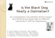 Is the black dog really a dalmatian, Kimberly Good