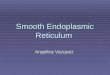Smooth endoplasmic reticulum