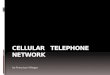 Cellular Telephone Networks 2008