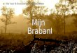 Mijn Brabant