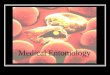 Medical entomology