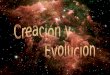 Creacion Evolucion