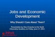 Jobs And Economic Development2011