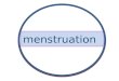 menstruation and menstrual cycle