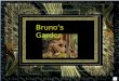 Brunos Garden