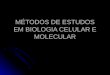 Biologia   Biologia Celular 2